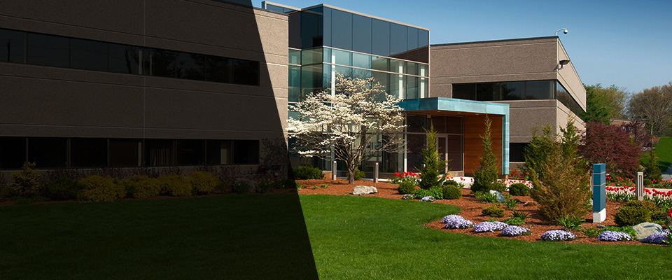 Oakland City Landscapers