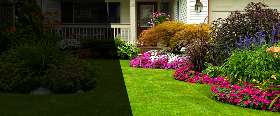 Oakland City Landscapers