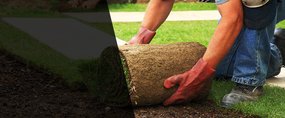 Oakland City Landscapers